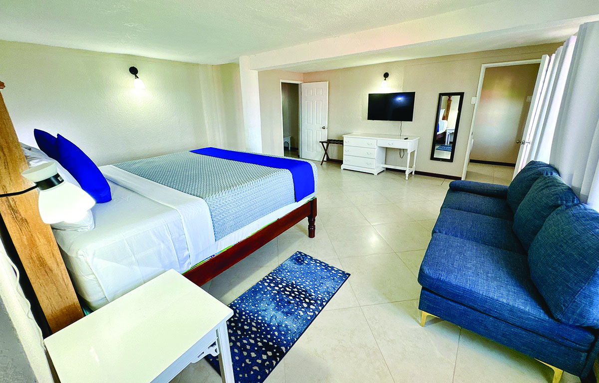 2 Bedroom Beachfront Penthouse Suite 1000sq ft